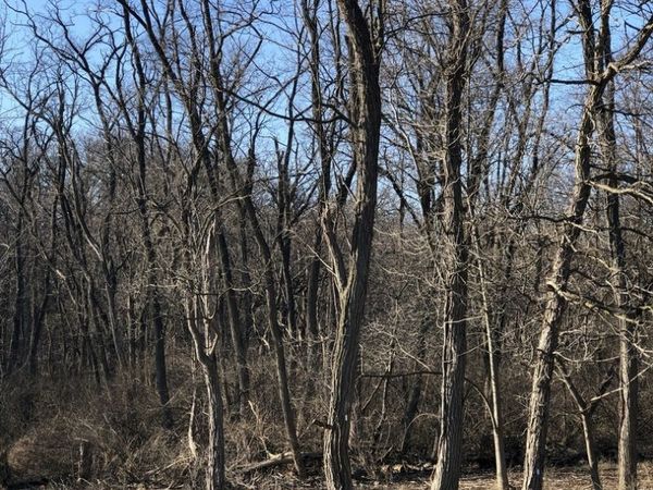 12940 Hadley #3 Hadley Road, Homer Glen, IL 60491