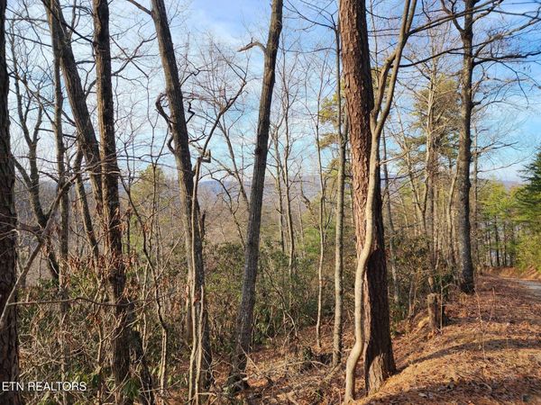 3008 Overholt Trl Lot 8R, Sevierville, TN 37862