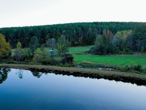 0 Hughes Farm Road , Collinwood, TN 38450