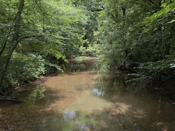 0 Rock Springs Rd, Ethridge, TN 38456