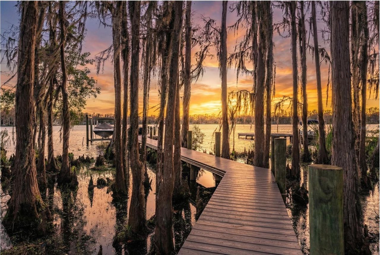 5914 Fitzgerald Road, Odessa, FL 33556 Photo