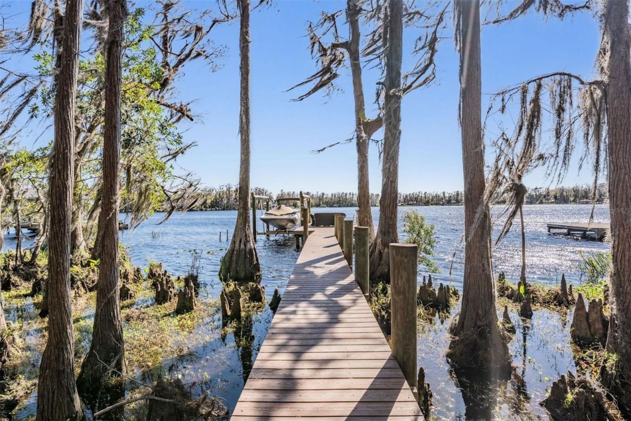 5914 Fitzgerald Road, Odessa, FL 33556 Photo