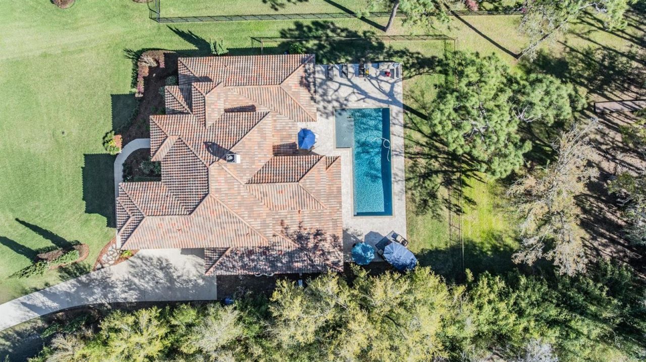 5914 Fitzgerald Road, Odessa, FL 33556 Photo