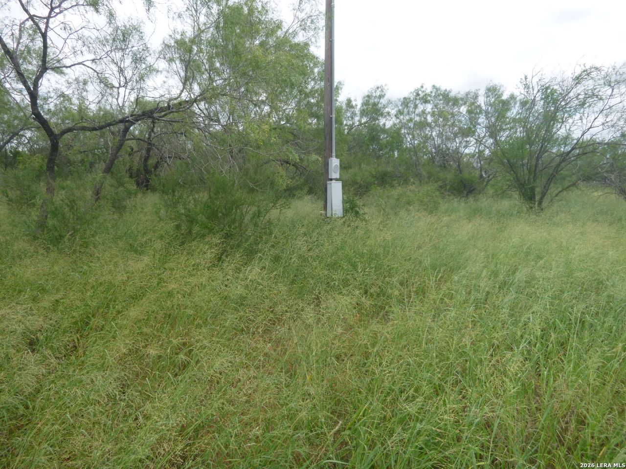 4253 E Fm 462, Moore, TX 78057 Main Photo