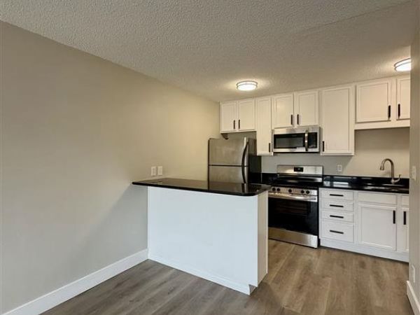 1800 Lasalle Avenue, Unit 302, Minneapolis, MN 55403