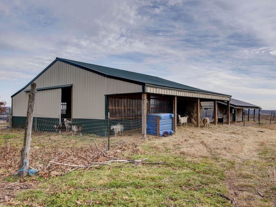 Property Image 11