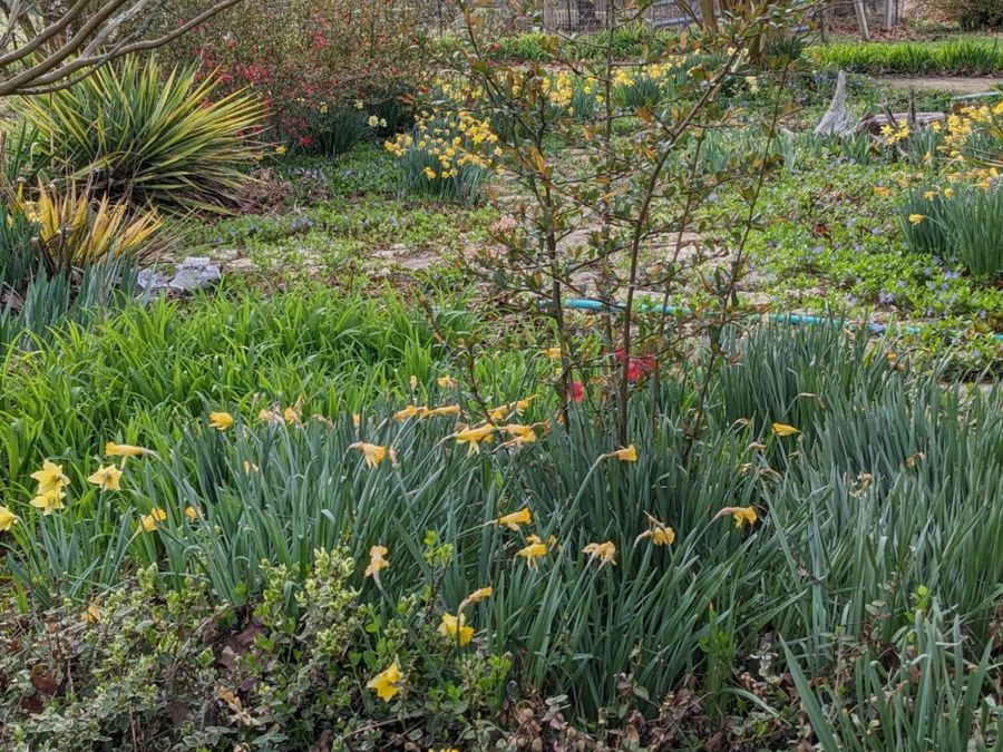 Property Image 63