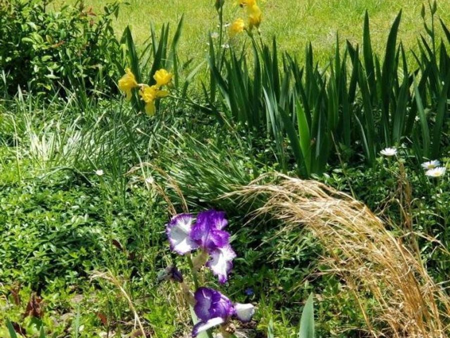 Property Image 71