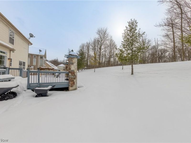 5532 Brook Run Drive, Medina, OH 44256 Photo 46