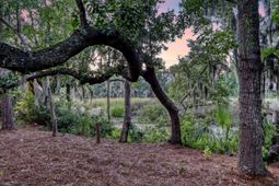 1636 Oak Leaf Street photo 4