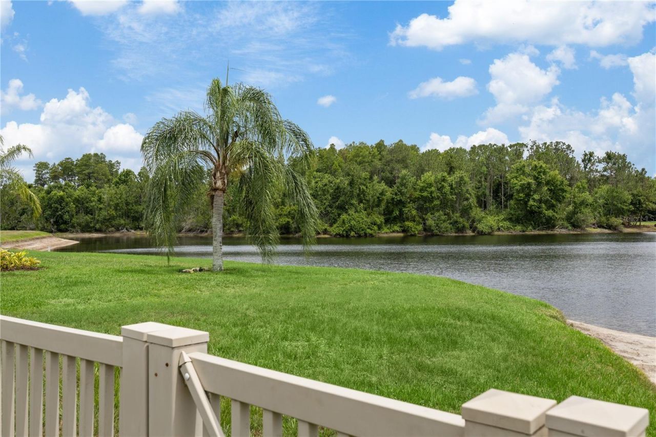 3015 Lynwood Court, Land O Lakes, FL 34638 Photo
