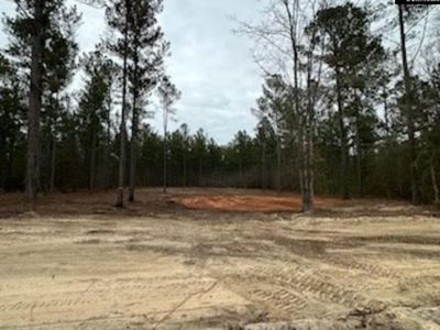 07 Otis Baughman S.R. Road, Wagener, SC 29164