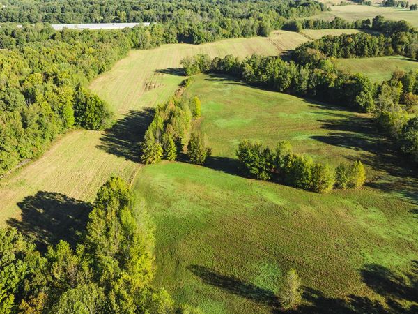 00 Winstead Rd, Dresden, TN 38225