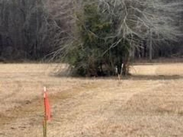 0 Bellevue Road, Unit Lot 1, Haughton, LA 71037