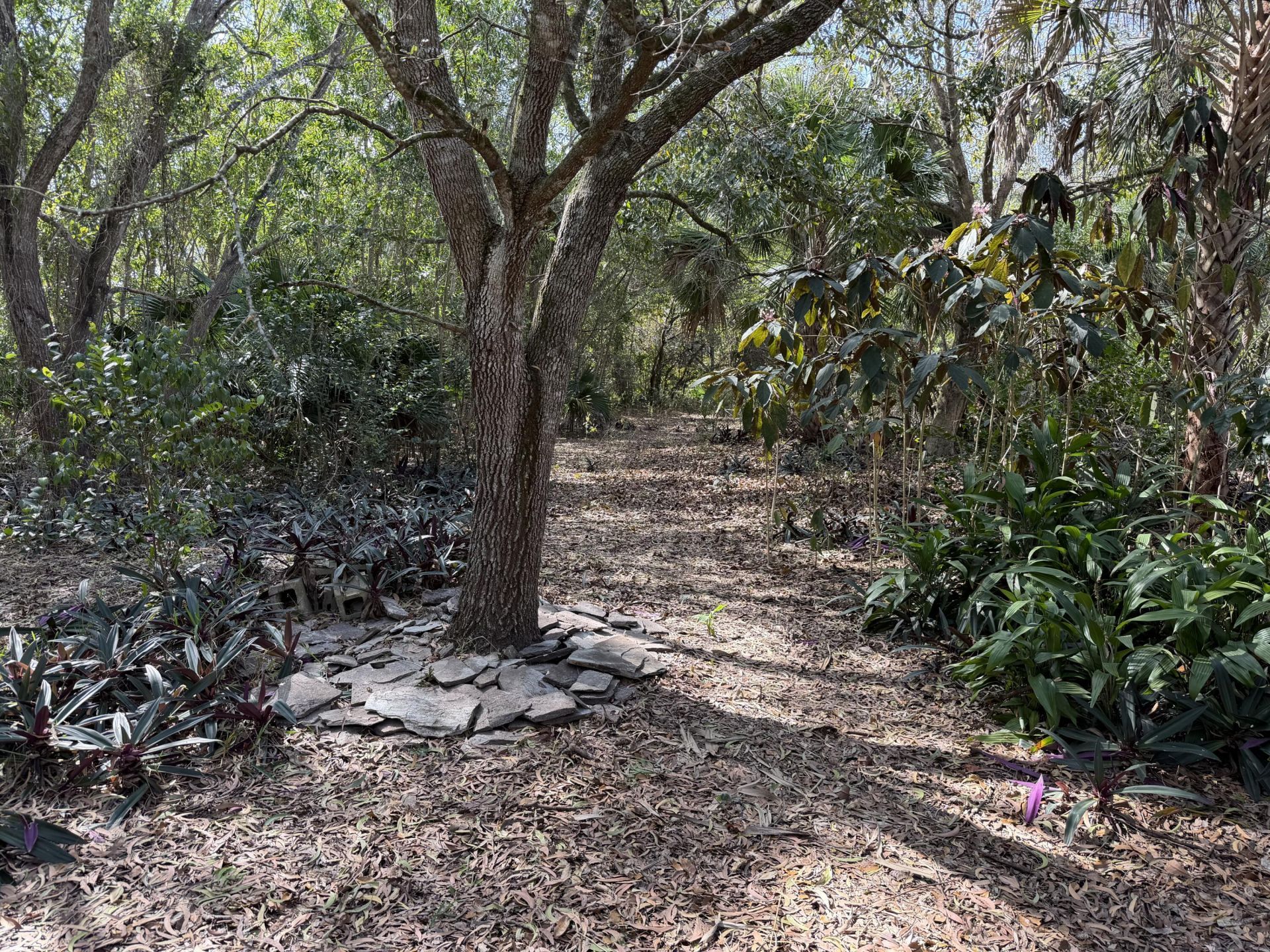 16556 Rustic Road, Wellington, FL 33470 Photo