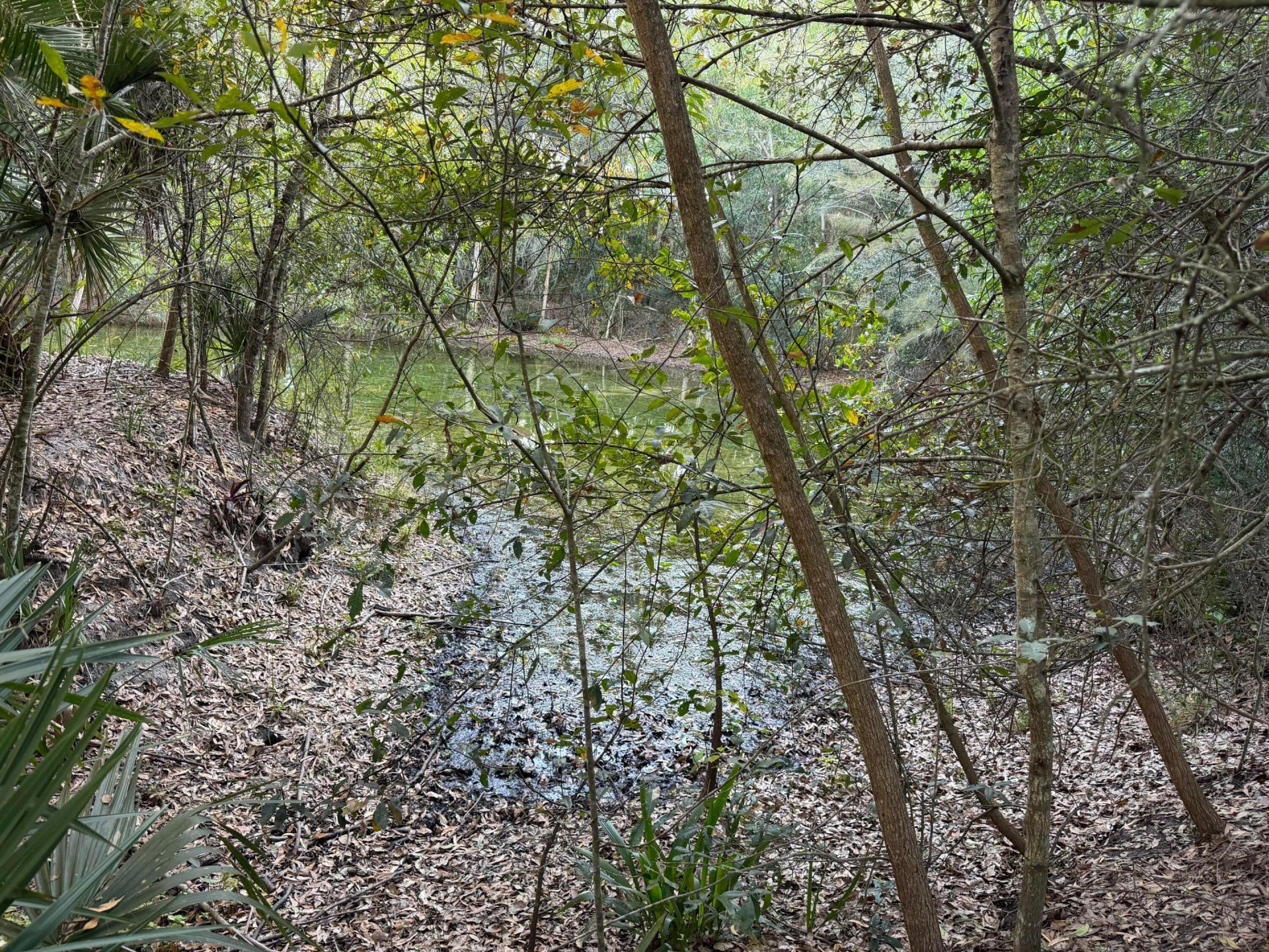 16556 Rustic Road, Wellington, FL 33470 Photo