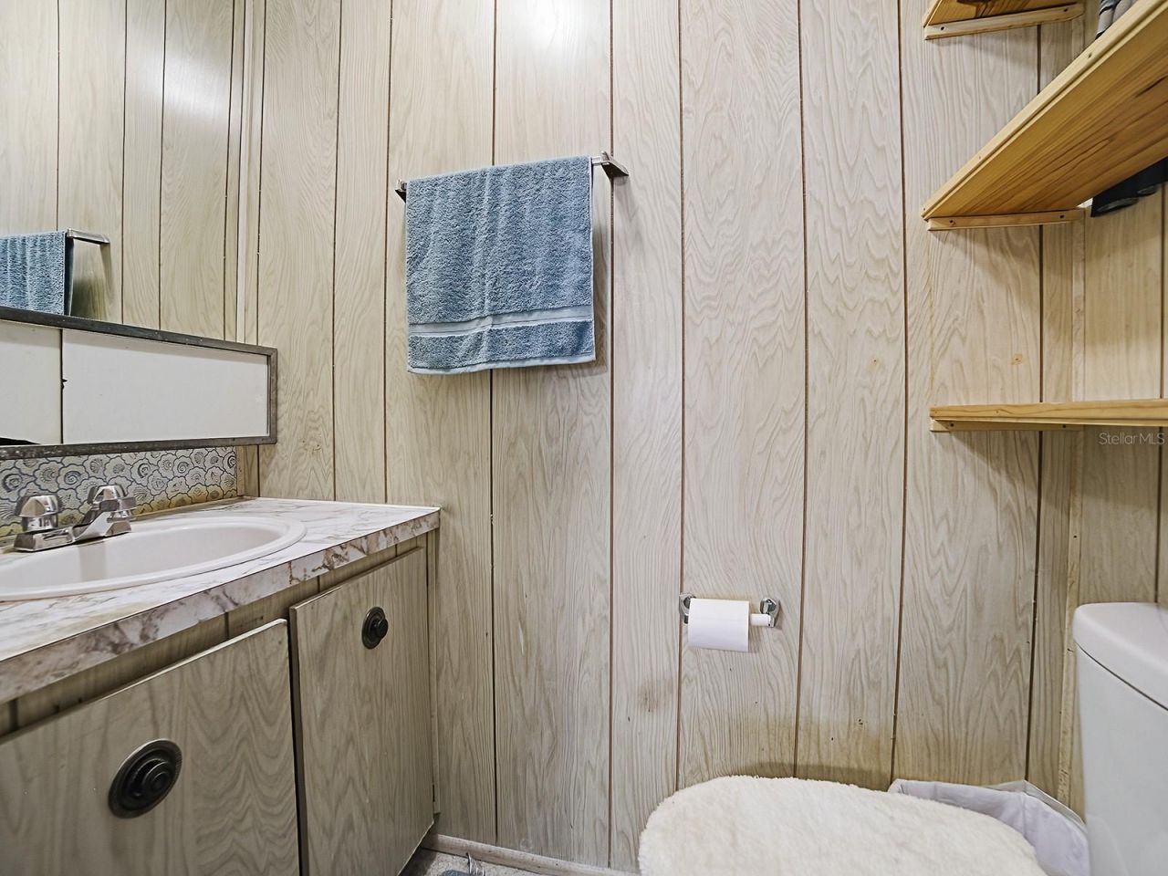 25919 Zinnia Lane, Astatula, FL 34705 Photo