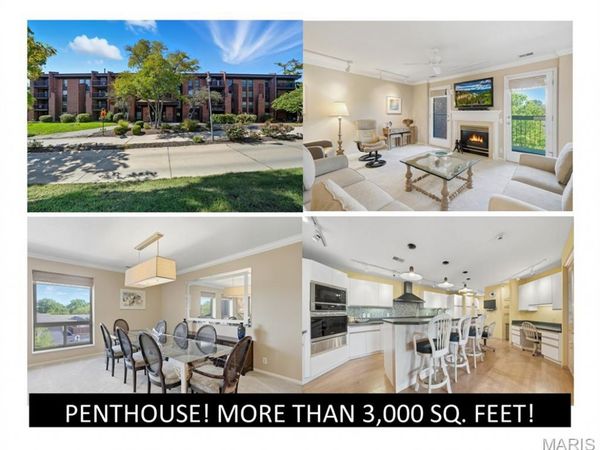 585 Coeur De Royale Drive , Unit 405, Creve Coeur, MO 63141