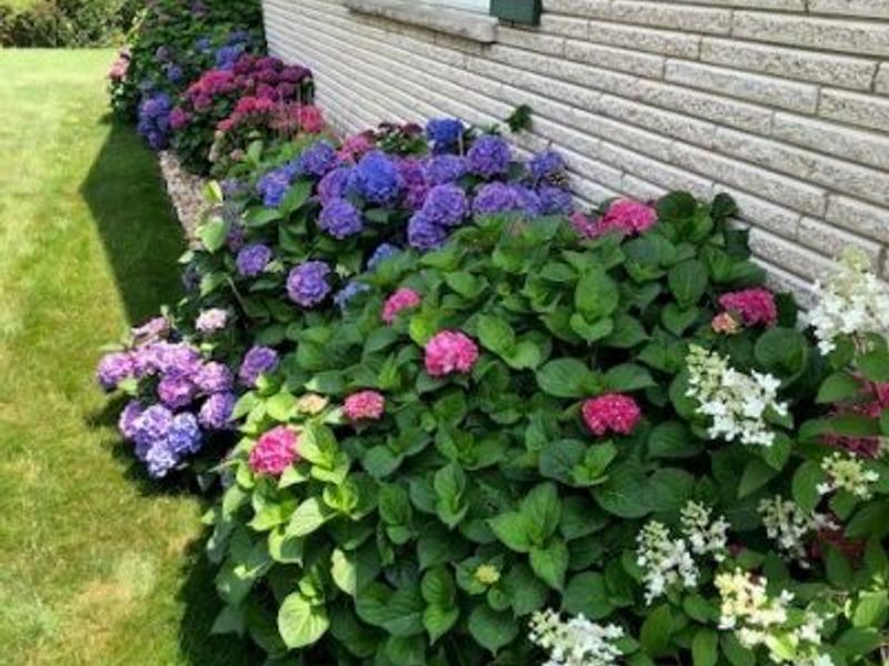 67582 Clark Road, Saint Clairsville, OH 43950 Photo 14