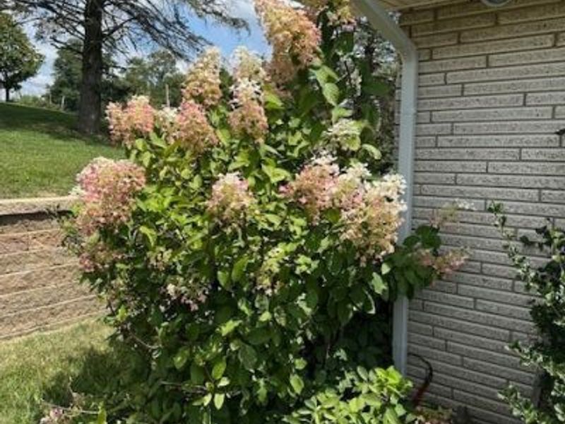 67582 Clark Road, Saint Clairsville, OH 43950 Photo 15