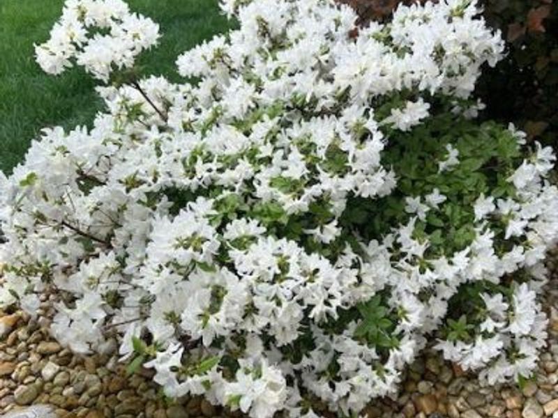 67582 Clark Road, Saint Clairsville, OH 43950 Photo 16