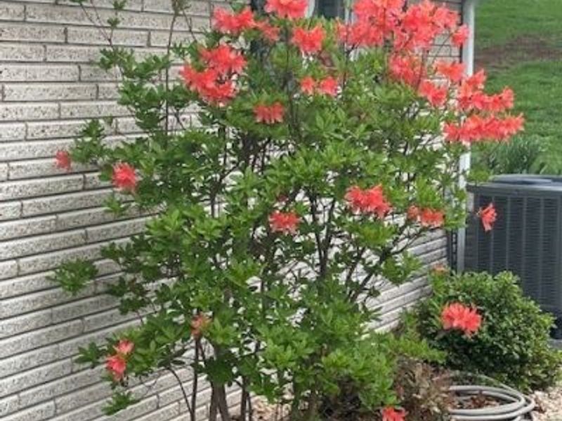 67582 Clark Road, Saint Clairsville, OH 43950 Photo 17