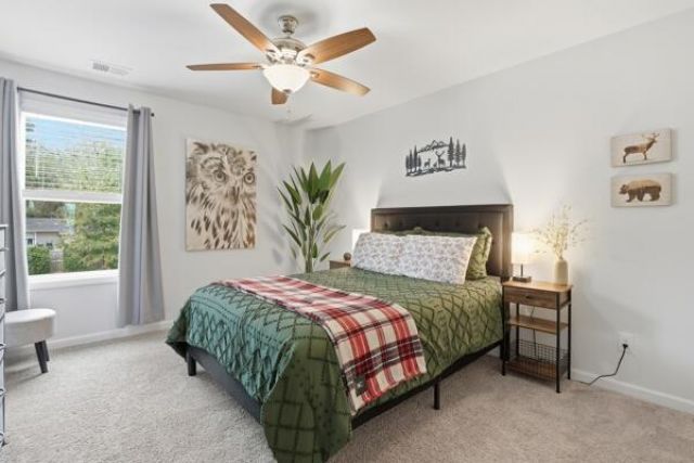 126 Great Bend Drive Photo 23