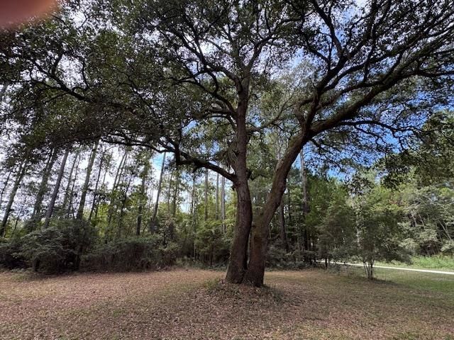 9715 Two Pines Rd.  Photo 18