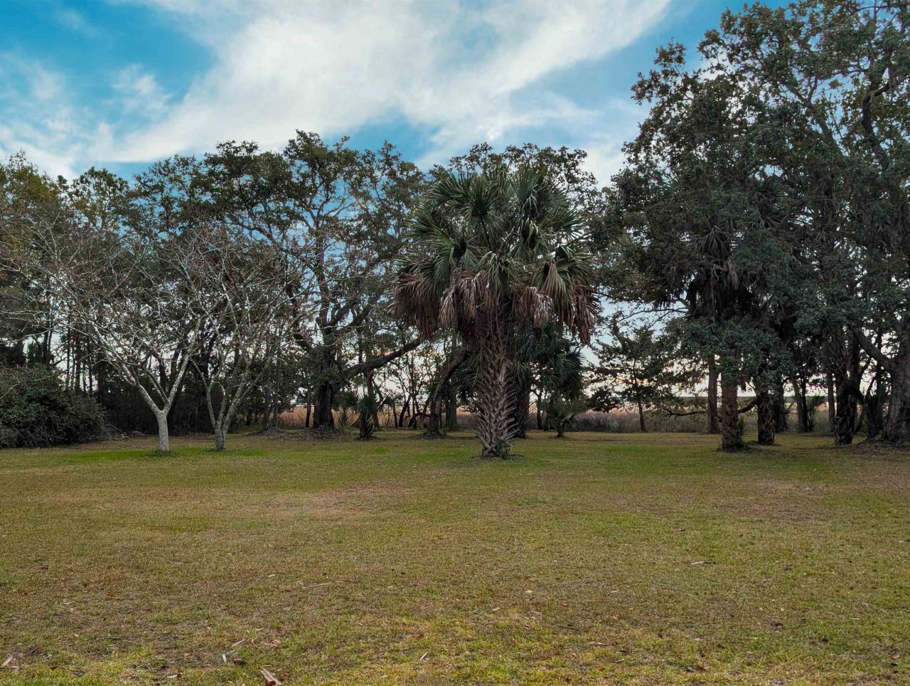 9715 Two Pines Rd.  Photo 53