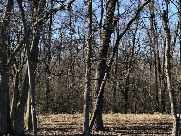 12934 Hadley #4 Hadley Street, Homer Glen, IL 60491