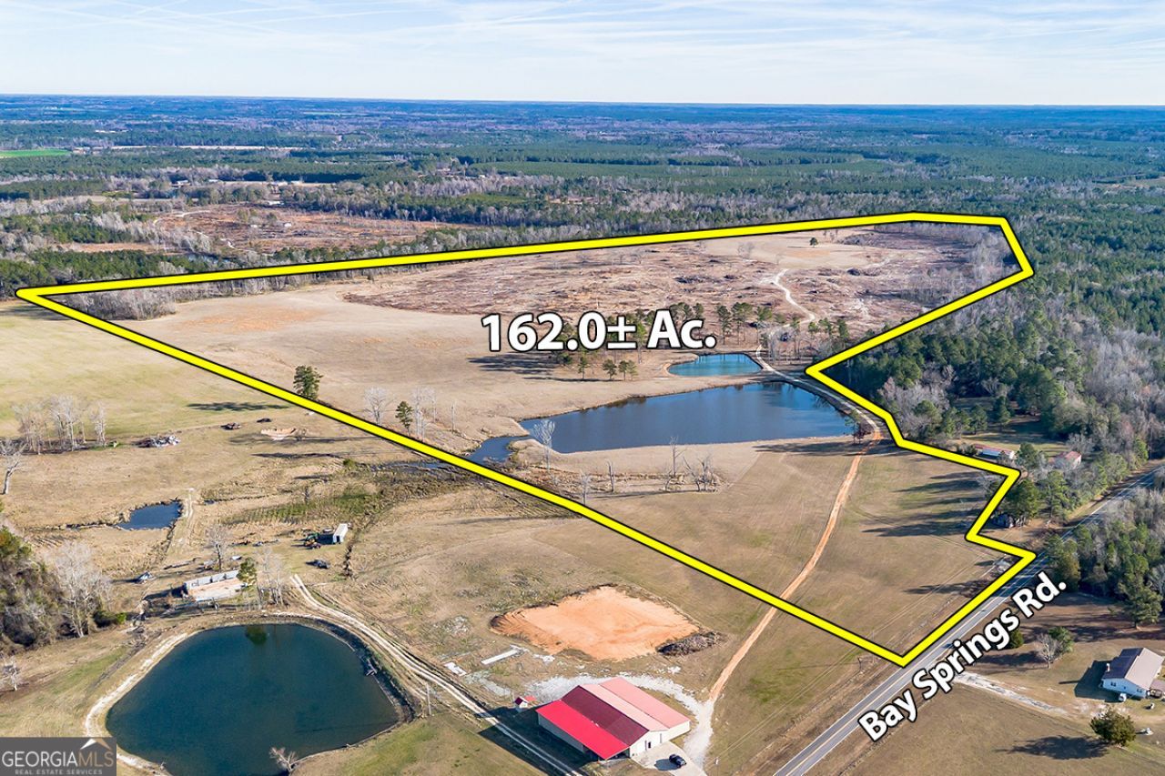 2128 Bay Springs Road, Adrian, GA 31002 Main Photo