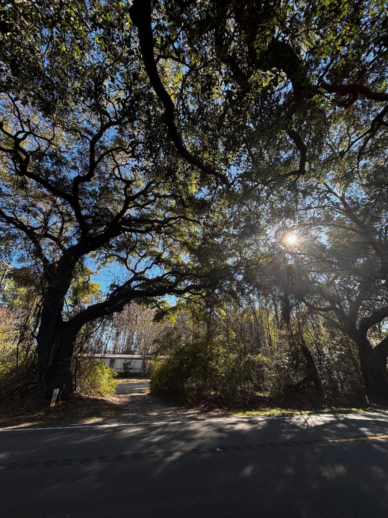 3969 River Road Photo 1