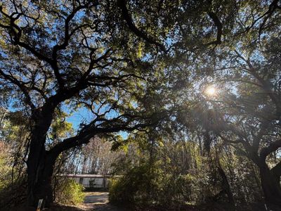 3969 River Road, Johns Island, SC 29455