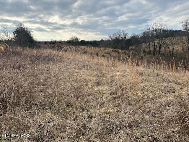 000 Old Parrottsville Hwy, Parrottsville, TN 37843 Main Photo