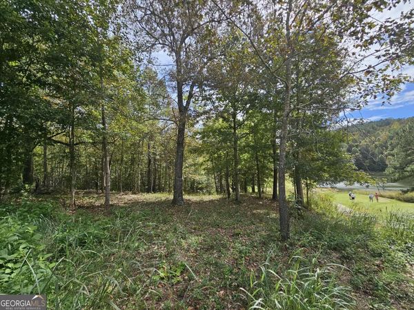 42 Lookout Point, Toccoa, GA 30577