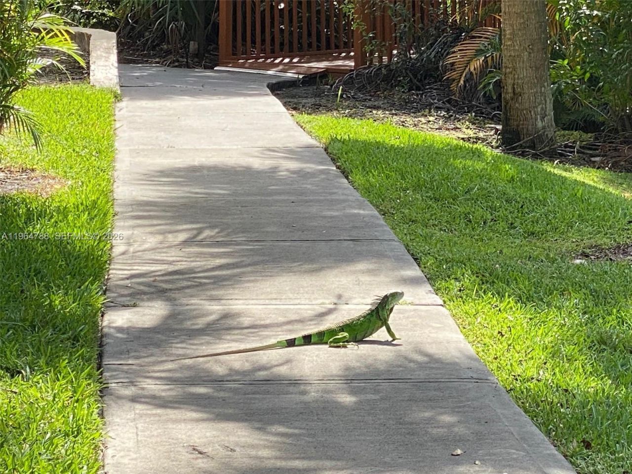 9999 Summerbreeze Dr, Unit 715, Sunrise, FL 33322 Photo