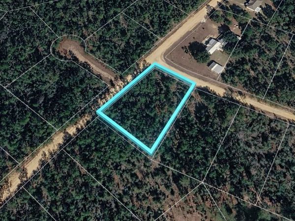 DESHUTES DRIVE, ALFORD, FL 32420