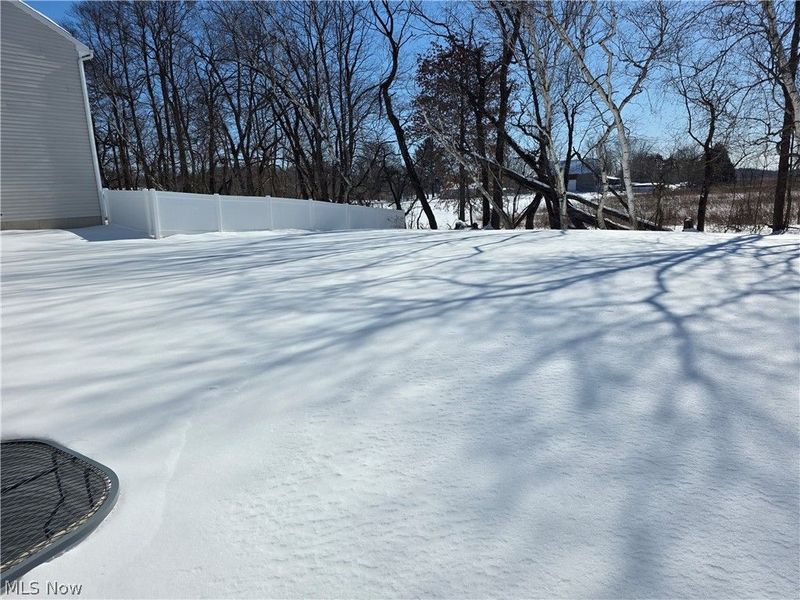 1416 Wood Fern Drive, Akron, OH 44312 Photo 4