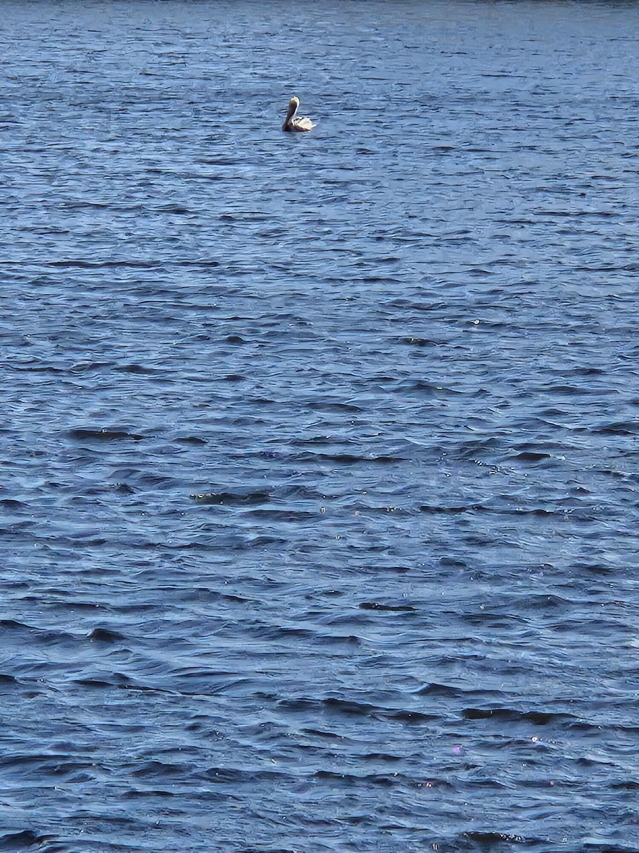 1118 Lake Terrace, Unit 116, Boynton Beach, FL 33426 Photo