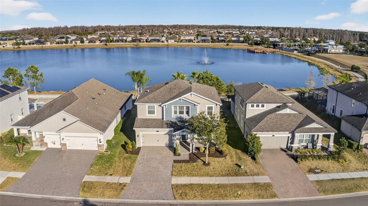 1716 Nature View Drive, Lutz, FL 33558 Main Photo