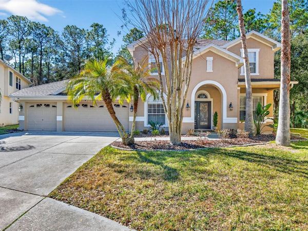 6604 PORTLAND OAK COURT, TAMPA, FL 33647