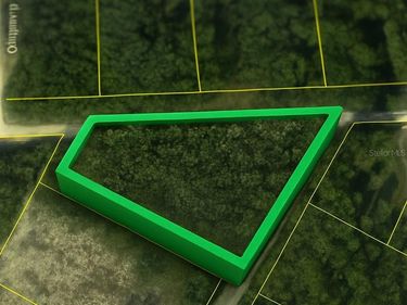 CORAL ROCK DRIVE, WEBSTER, FL 33597