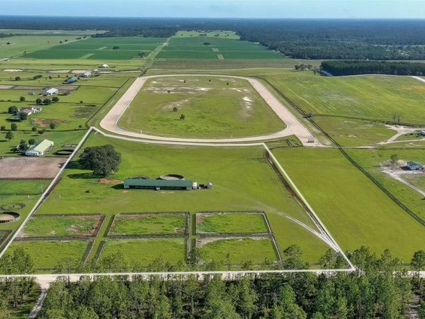 2351 NE 120 AVENUE, WILLISTON, FL 32696