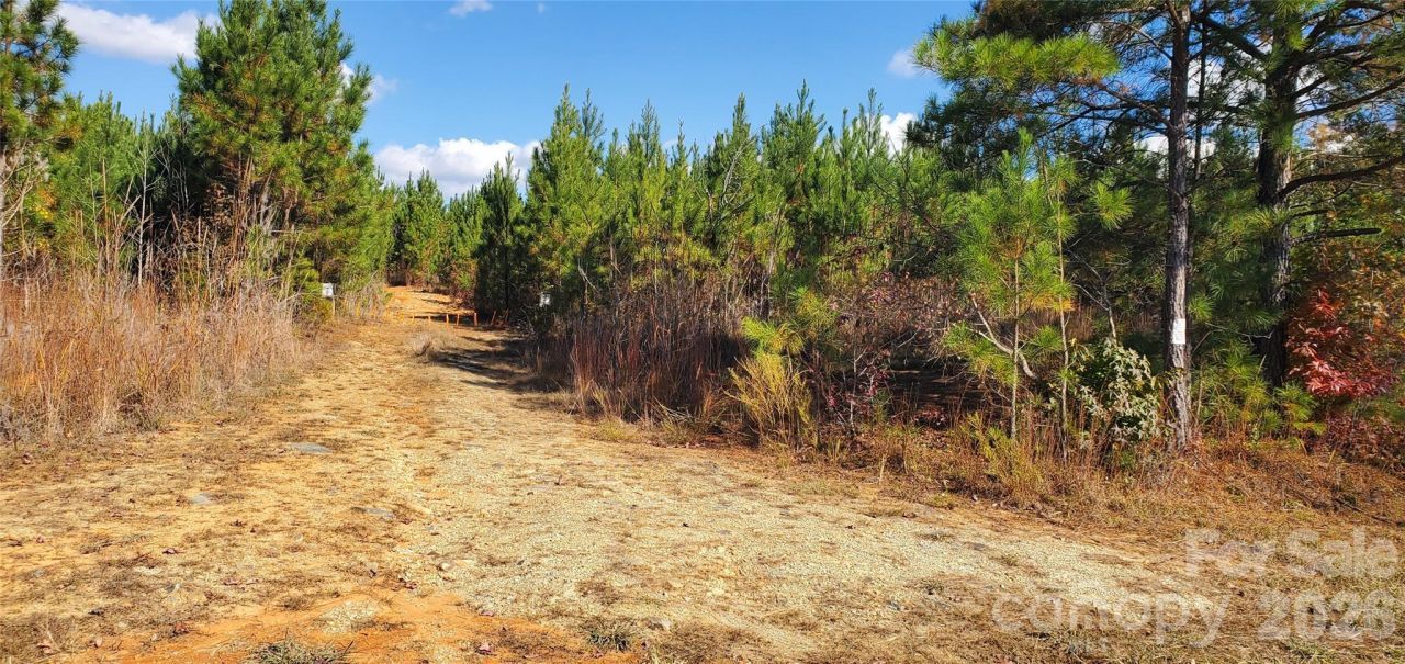 420 Tuckertown Road, New London, NC 28127 Main Photo