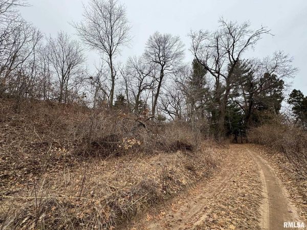 1352 TOWNSHIP Road, Oquawka, IL 61469