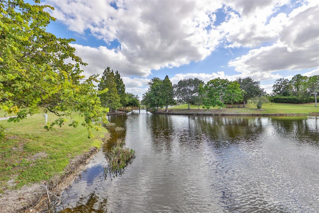 5412 Hammock View Lane, Apollo Beach, FL 33572 Photo