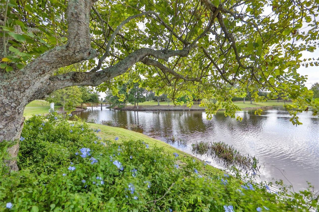 5412 Hammock View Lane, Apollo Beach, FL 33572 Photo