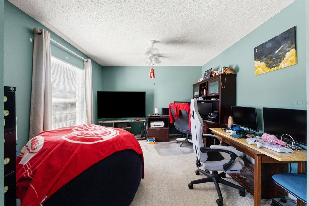 4434 Northampton Drive, New Port Richey, FL 34653 Photo