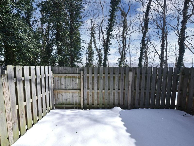 3113 Highcliff Court, Columbus, OH 43231 Photo 19