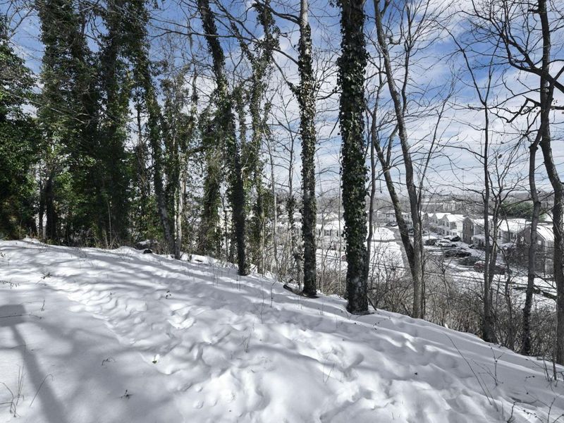 3113 Highcliff Court, Columbus, OH 43231 Photo 21